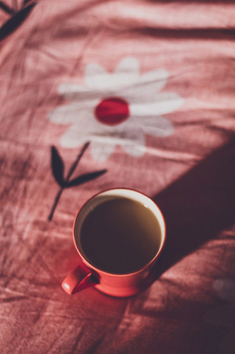 A lovely cup of tea on a soft pink velvet material with daisy motif